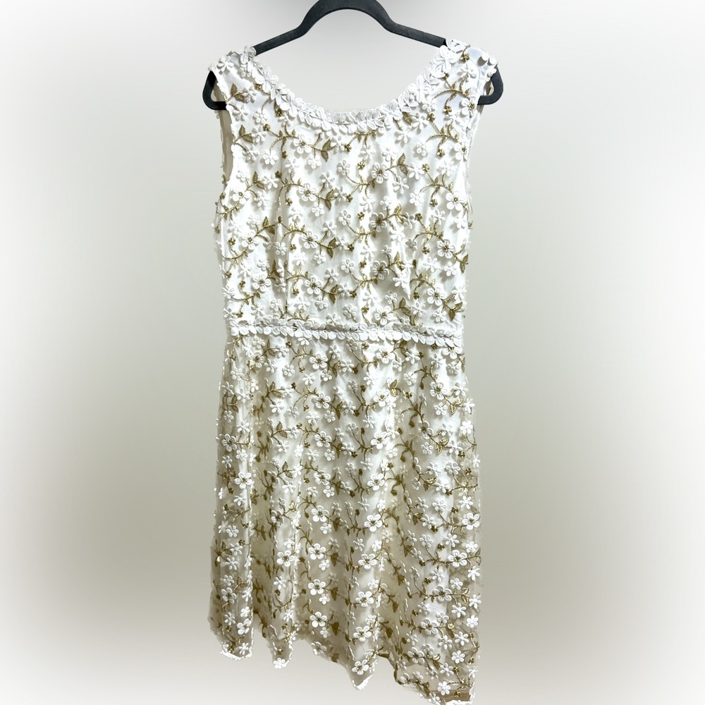 Molly Bracken Dress Size L NWT
